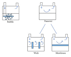 3881086-62617480dcdf2.jpg#s-251,201