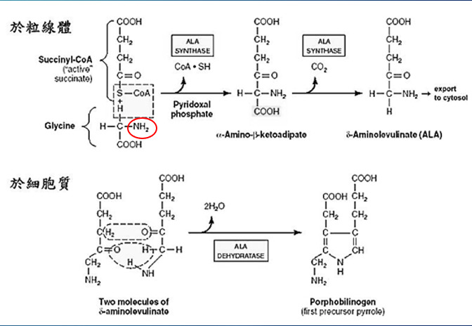4181074-62617b7d4acfb.jpg#s-672,464