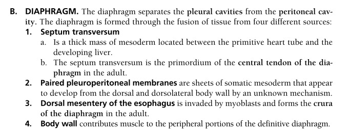 4825830-6261bd64e9387.jpg#s-683,255