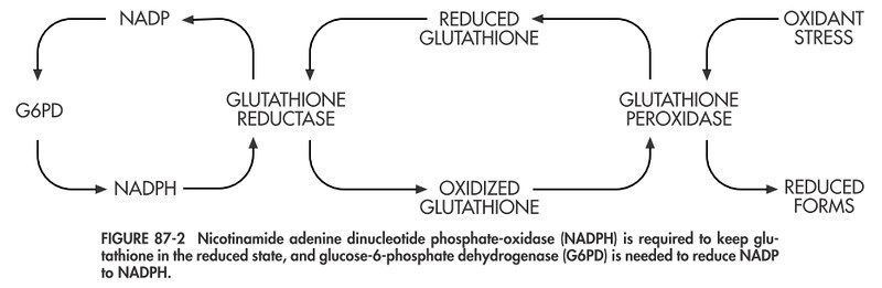 16822781642_acb163d4dd_c.jpg#s-800,261