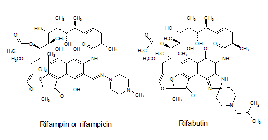 Proteins-biosynthesis-1-image.png