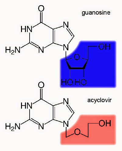 %252522Guanosine.jpg%252522.jpg