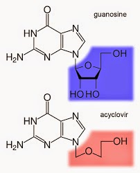 %252522acyclovir-guanosine.jpg%252522.jp