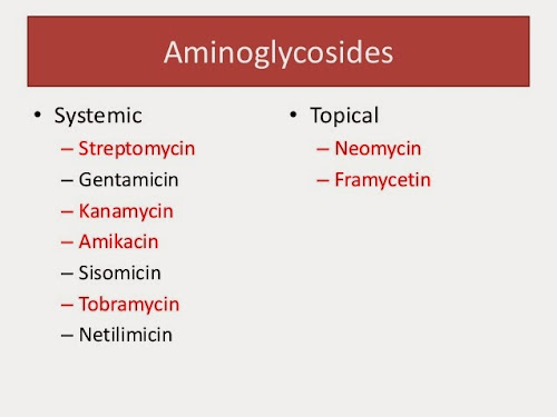 %252522aminoglycosides.jpg%252522.jpg