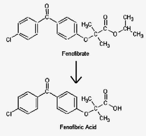 %252522fenofibrate.jpg%252522.jpg
