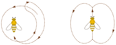 beedance1.gif#s-400,156