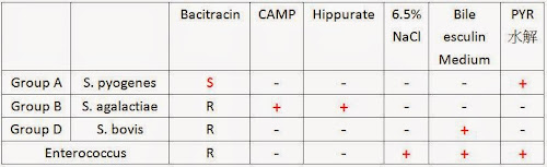 %252522%2525C3%2525A9%2525C2%25258F%2525