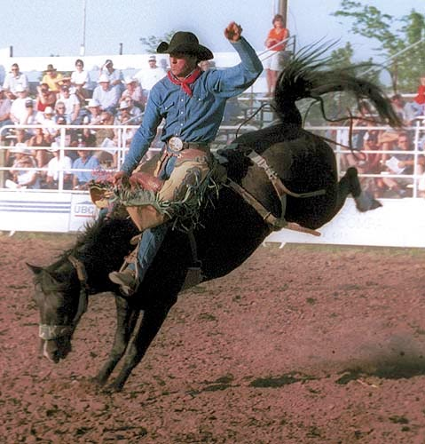 %252522Rodeo.jpg%252522.jpg