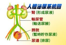images?q=tbn:ANd9GcS3ec6M43rq6_9xjO01USc