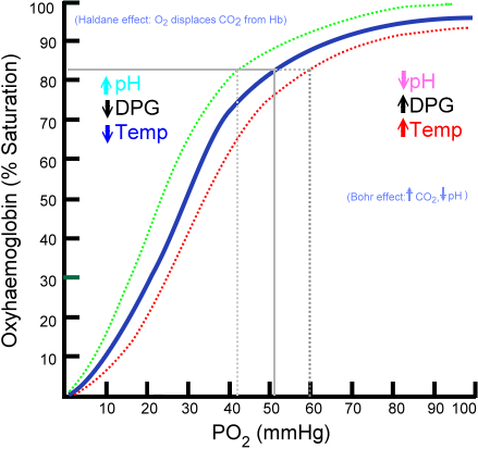 Oxyhaemoglobin_dissociation_curve.png