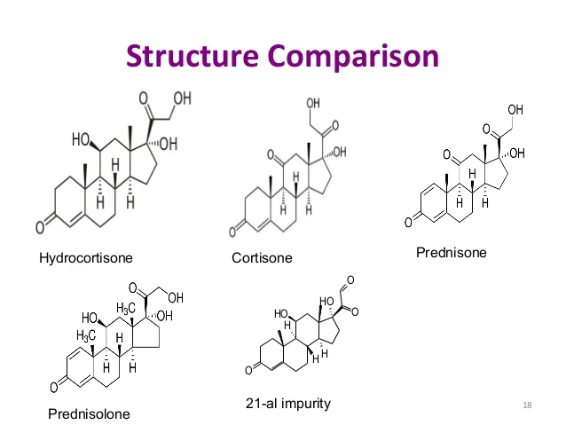 co-s-mos-2014ruchi-18-638.jpg?cb=1407758