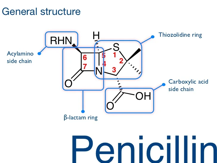 penicillin-balloons-2-728.jpg?cb=1421703