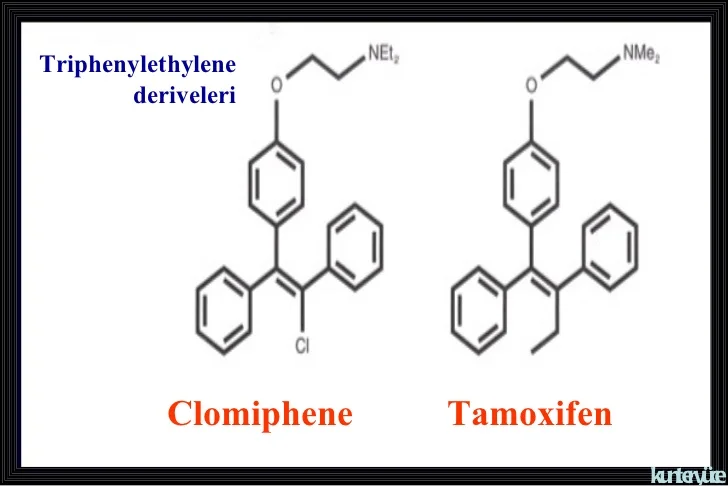 jinekolojik-komplikasyonlar-kunter-yce-4