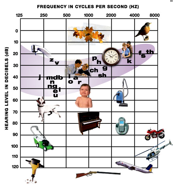 1310612973-adad169775af3c7045464c5bdc6ac