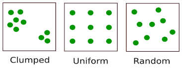 images?q=tbn:ANd9GcQWVp9xbzixgKGJuV0spIU