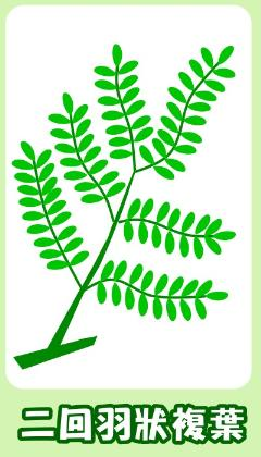 201203090913443714.jpg#s-240,420