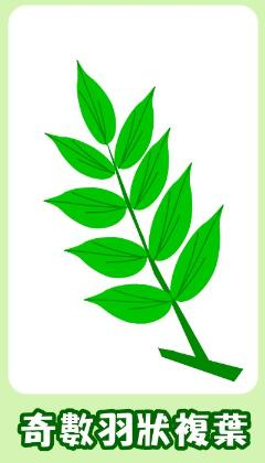 201203090913444026.jpg#s-240,420