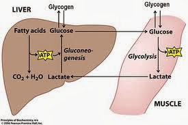 images%2520%252833%2529.jpg#s-275,183