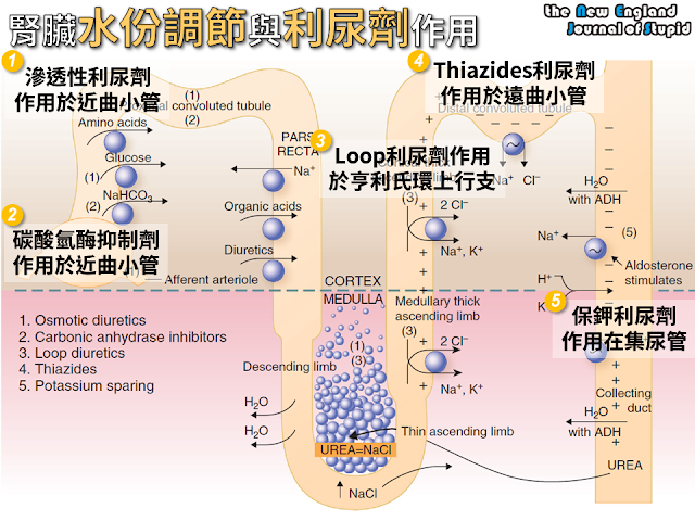 11737831_878062992263632_771206640242334