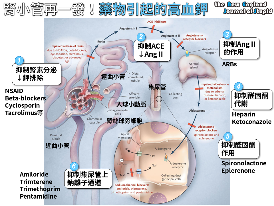10303757_768099959926603_920324809725832