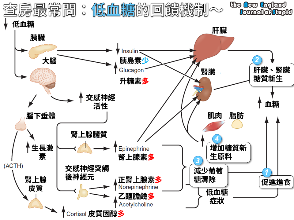 14599_770887812981151_702639860551055495