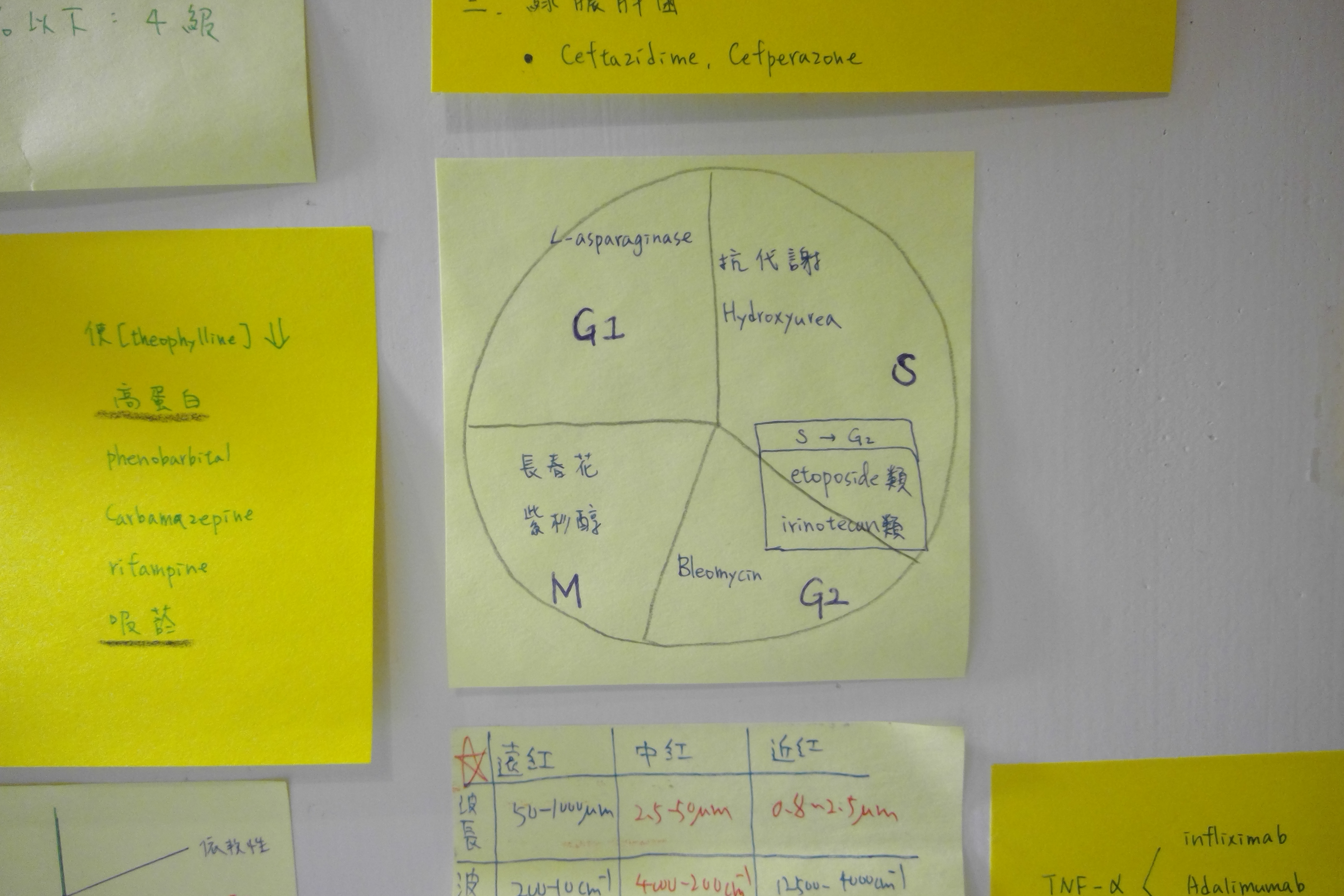 phpz95cMa#s-3264,2176