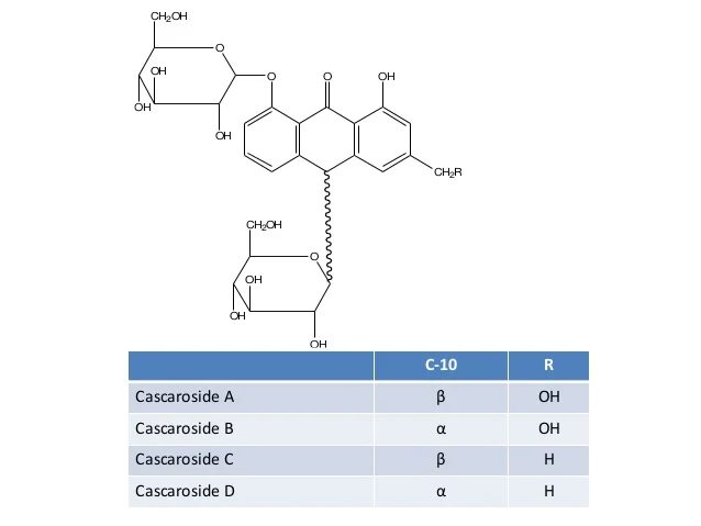 glycosides-68-638.jpg?cb=1431324804