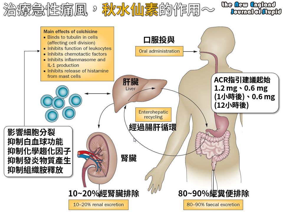 1607044_767608963309036_2060934552825313