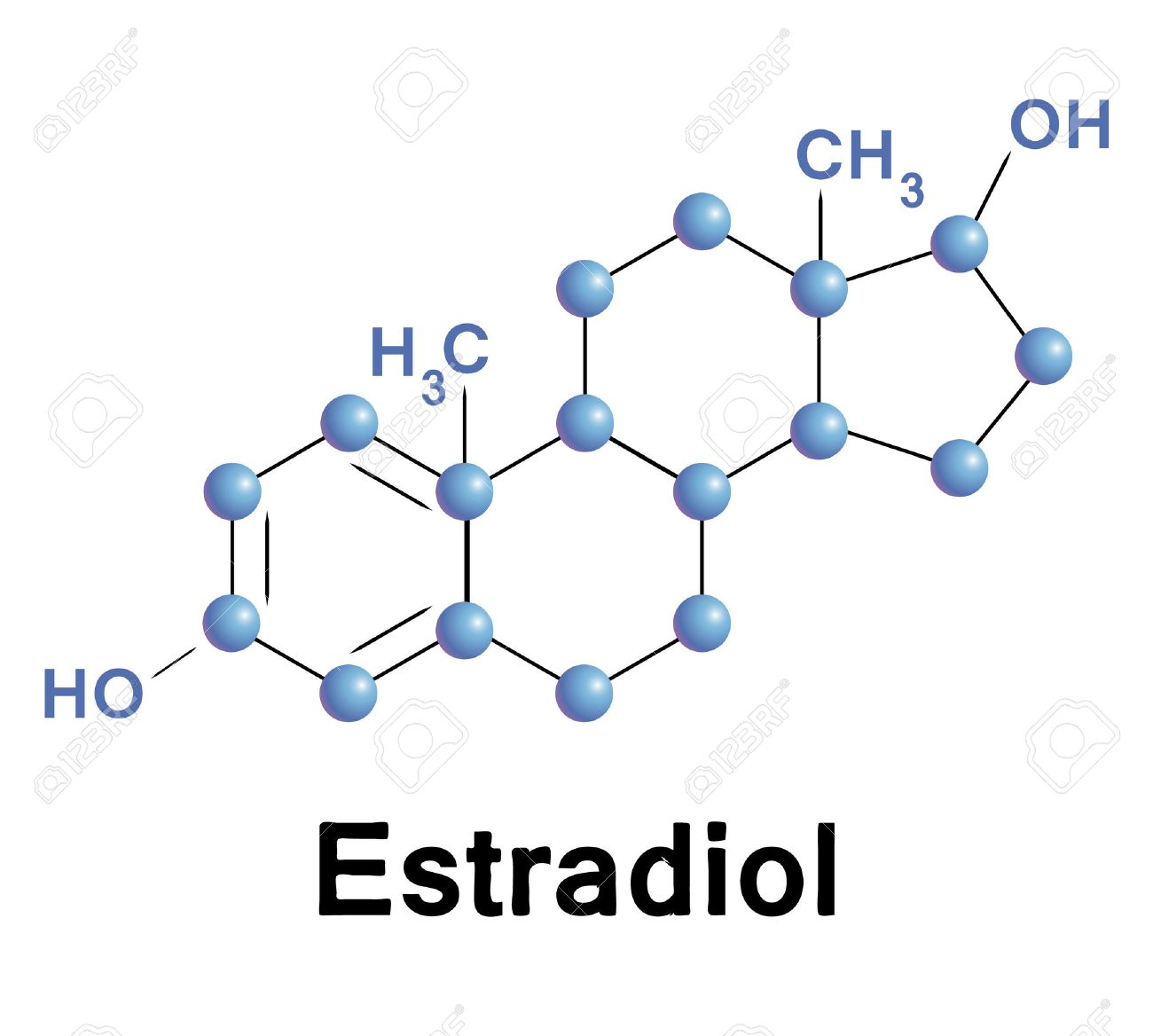 29387667-Estradiol-molecule-structure-me