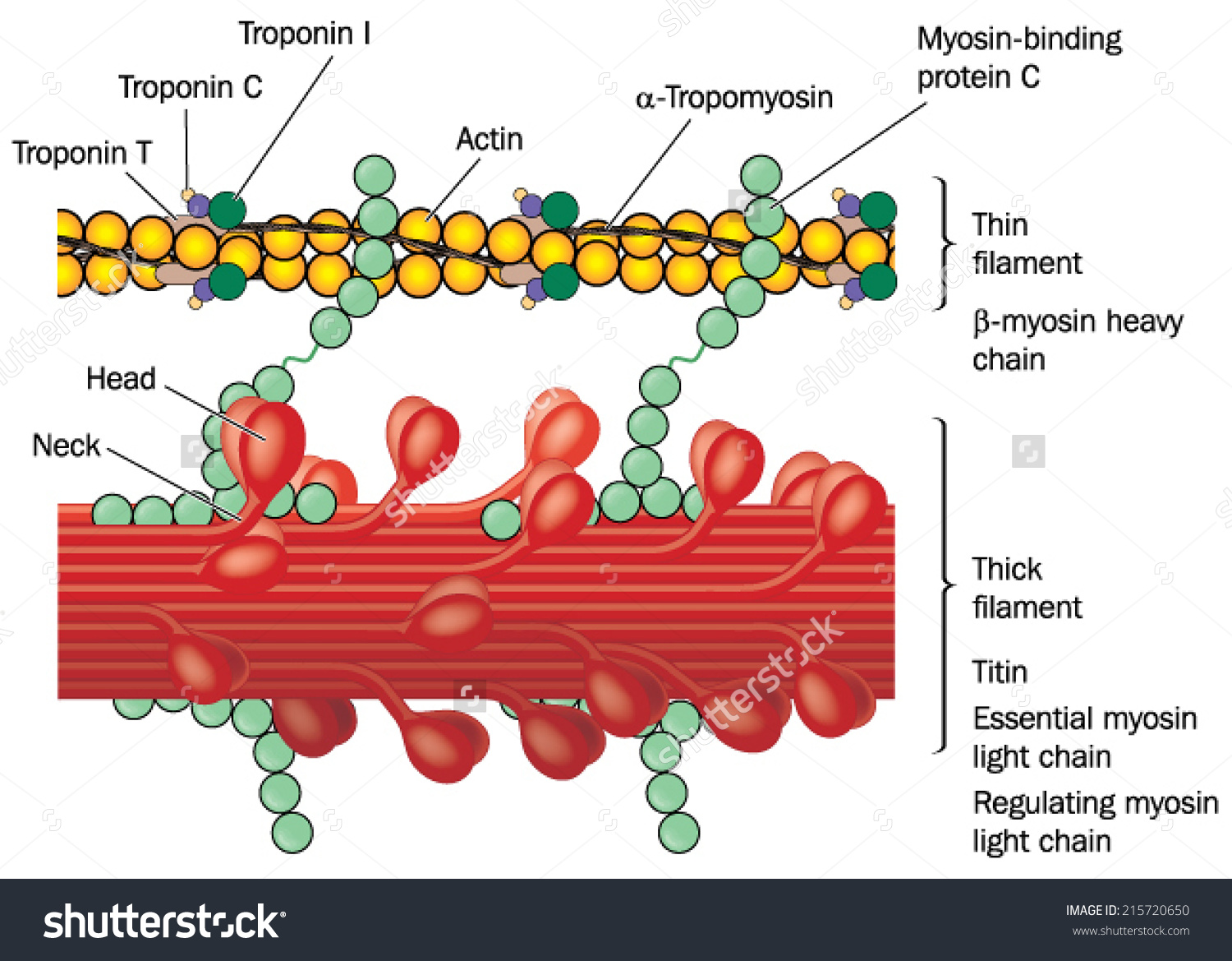 php0qIZJq#s-1500,1169
