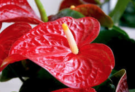 phpTWZGM7.png#s-277,188