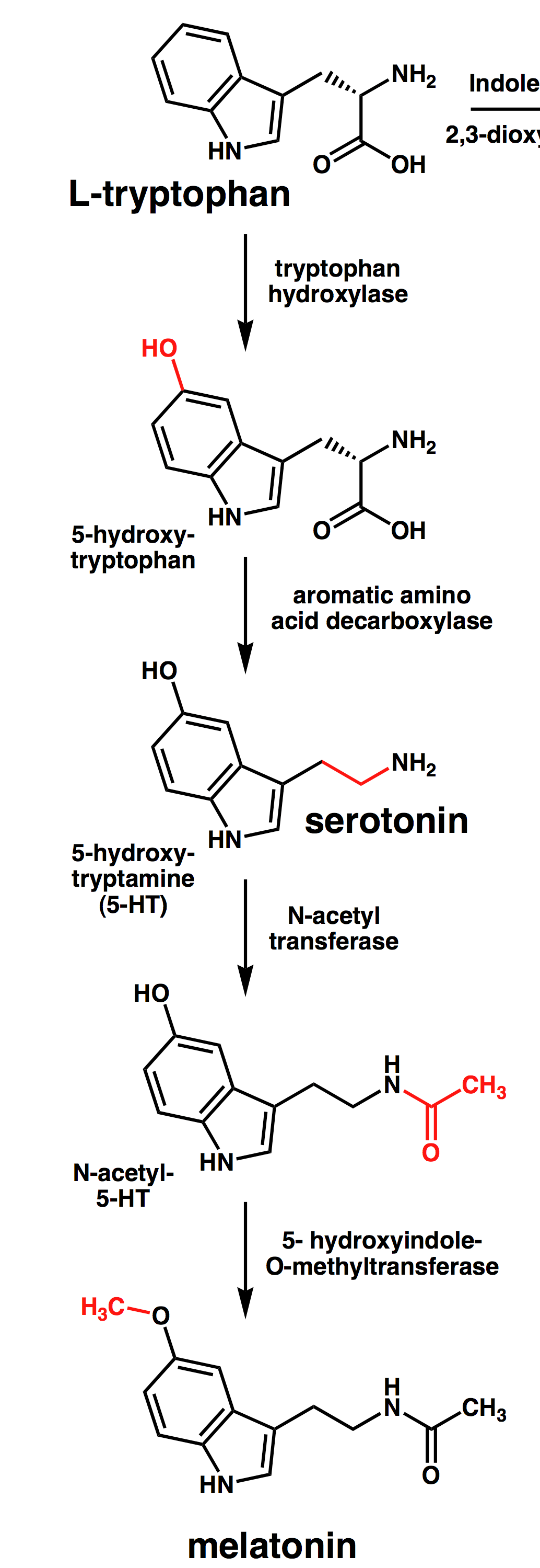phpKdYOsJ.png#s-1034,2999