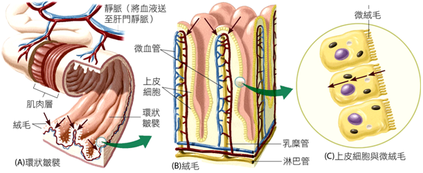 image022.png#s-611,250