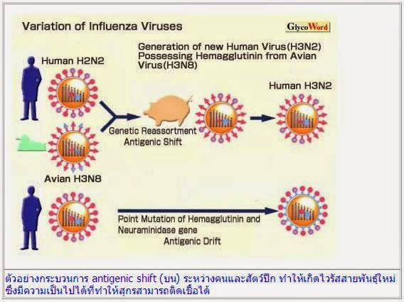 129999.jpg#s-568,425