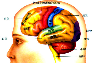 4bd6bf119be4c.jpg#s-394,265