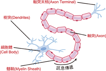f_2934182_3.jpg#s-350,235