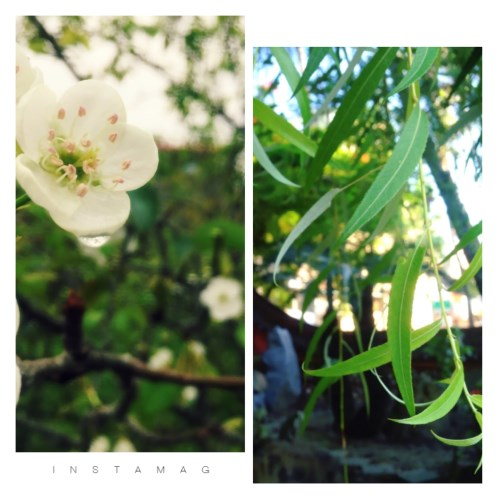 Evernote%2BCamera%2BRoll%2B20160414%2B234310.jpg#s-500,500