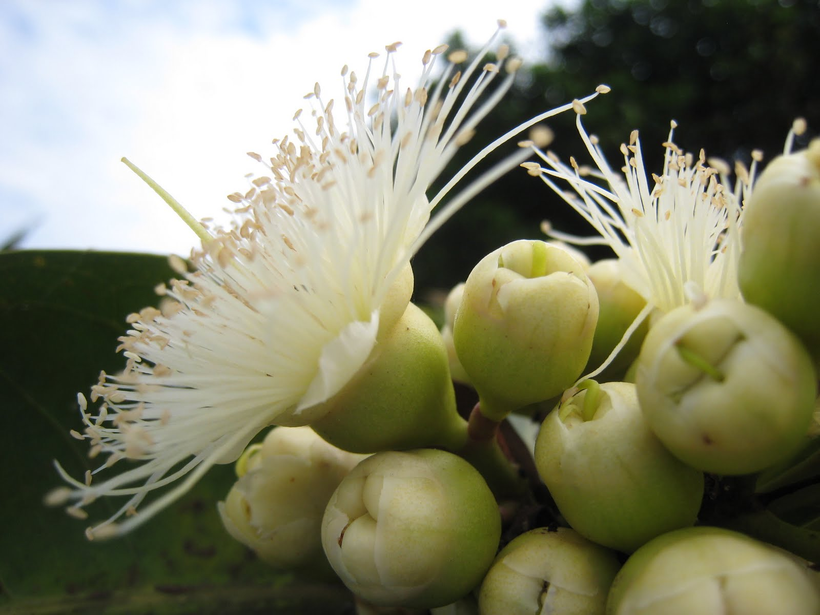 IMG_7369.JPG#s-1600,1200