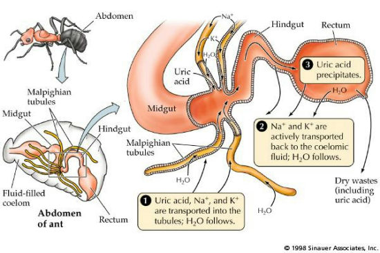 2007610112255685184.jpg#s-550,366