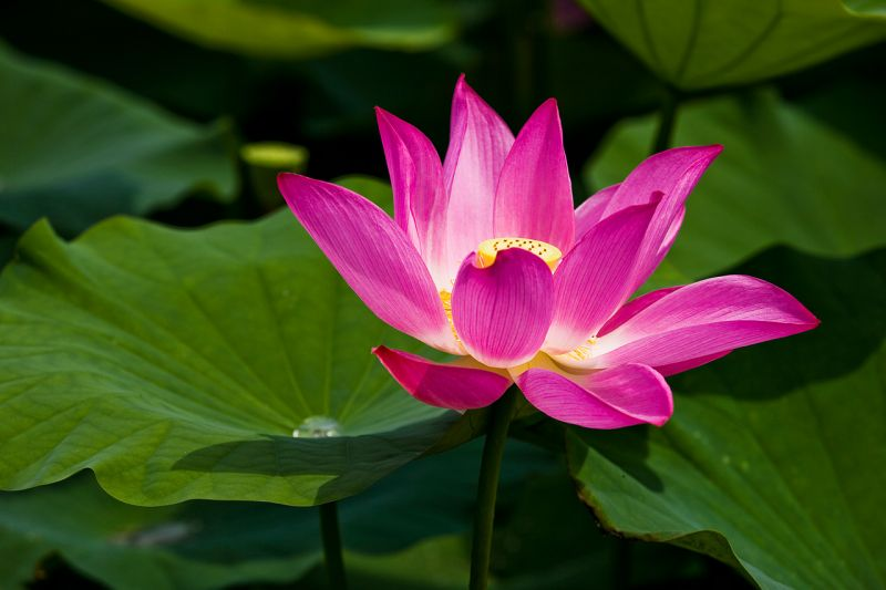 B95B0E8B-F332-4624-BA25-DE1076BB2DD5.jpg#s-800,533