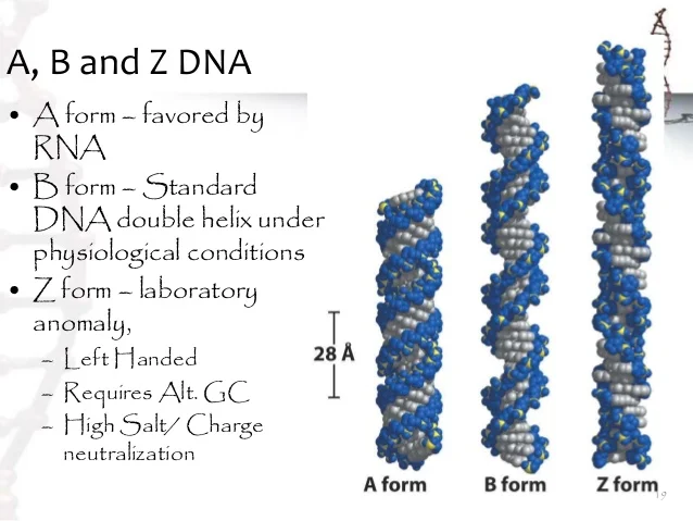 btech-biotechnology-ii-elements-of-biote