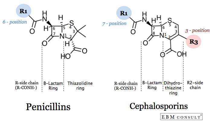 Penicillin%20vs%20Cephalosporin%20Cross-