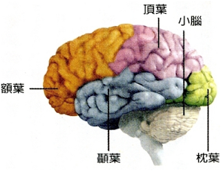 %25E5%259C%2596%25E8%25A1%25A8%25284%252