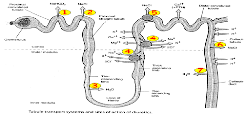 %252522102-1-%2525C3%2525A8%2525C2%25259