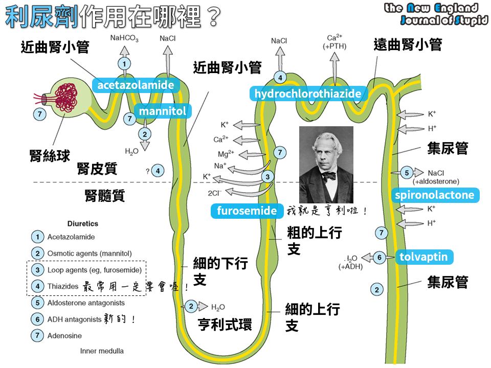 10368276_734216076648325_920249797591753