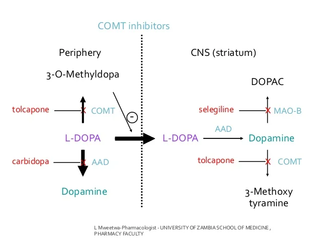 drugs-affecting-the-cns-psychopharmacolo