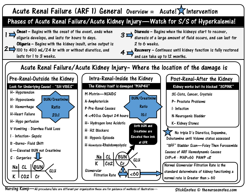 07ab0091aa7ff702f36315a68bafedbe.png#s-1056,816