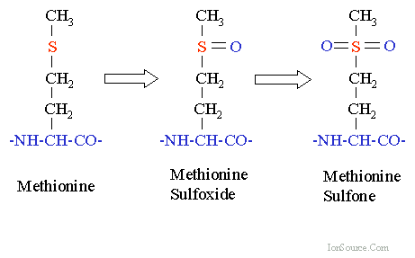 metox.1.gif#s-461,287