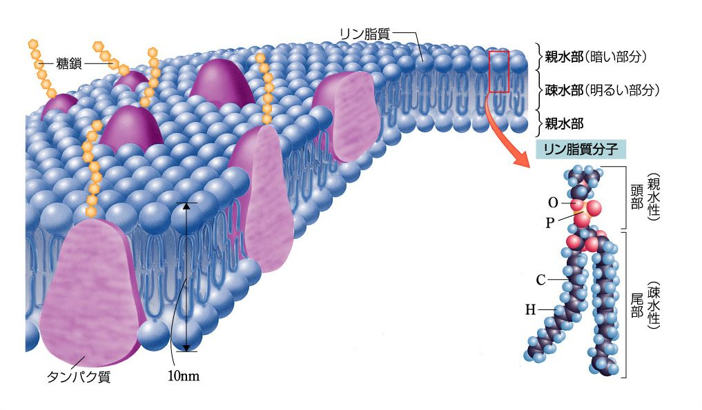 b6969a7a1f908fa0fccf7bfd734cc412.jpg#s-1017,595