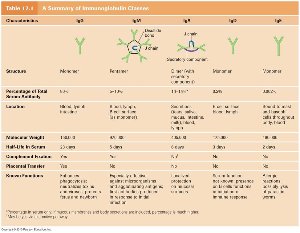 94319cd63af93228acf1843d8197abc0.jpg#s-974,756